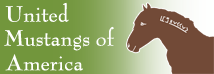 United Mustangs of America