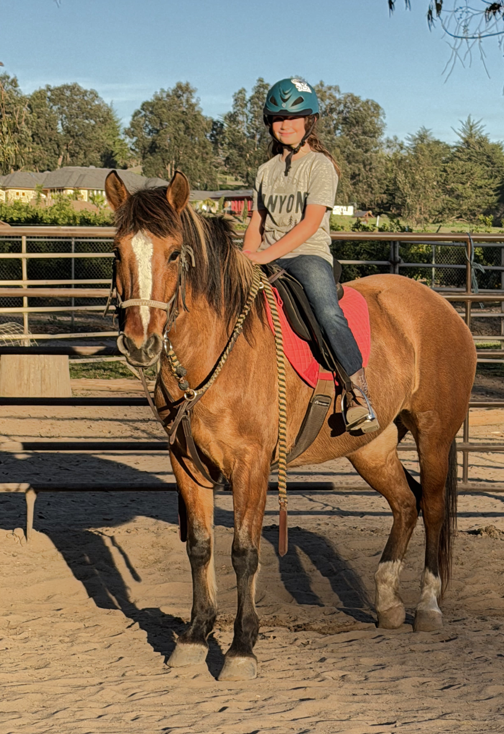 Young rider and resting horse together at sunset