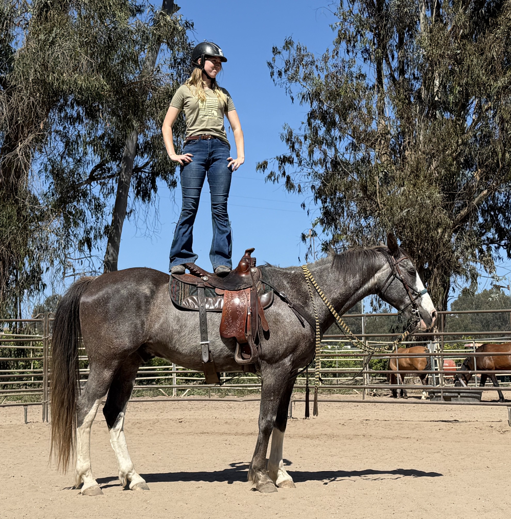 UMA rider standing on horseback in a Western saddle, showing trust and balance