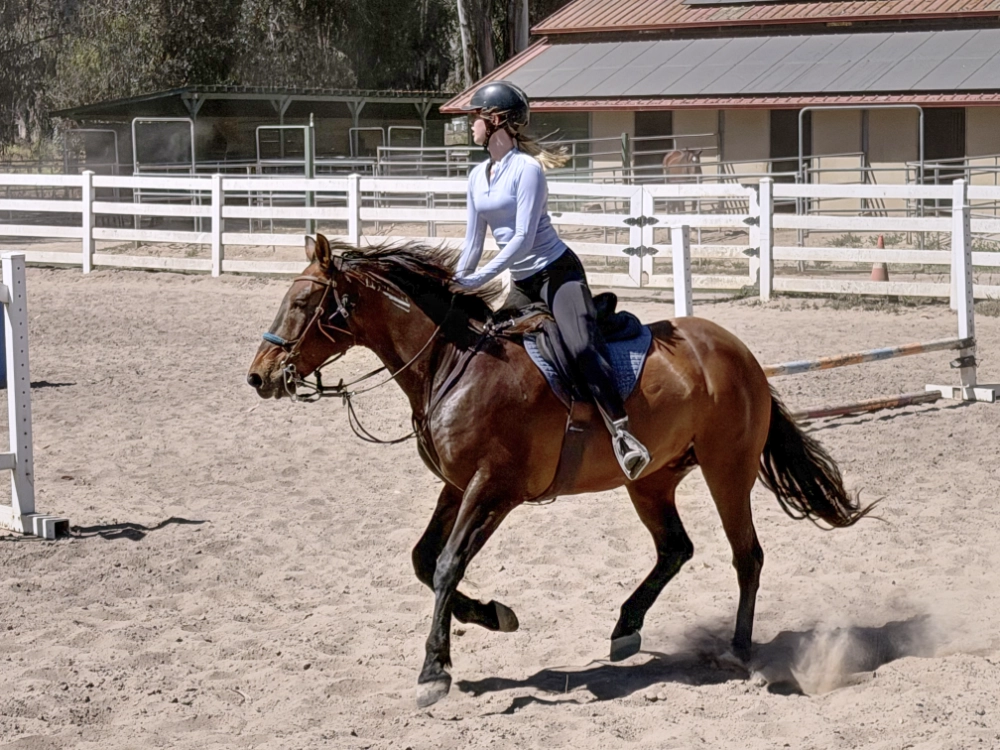 Student riding in an English saddle with a Monte Foreman Pelham bit, working with her horse Sailor