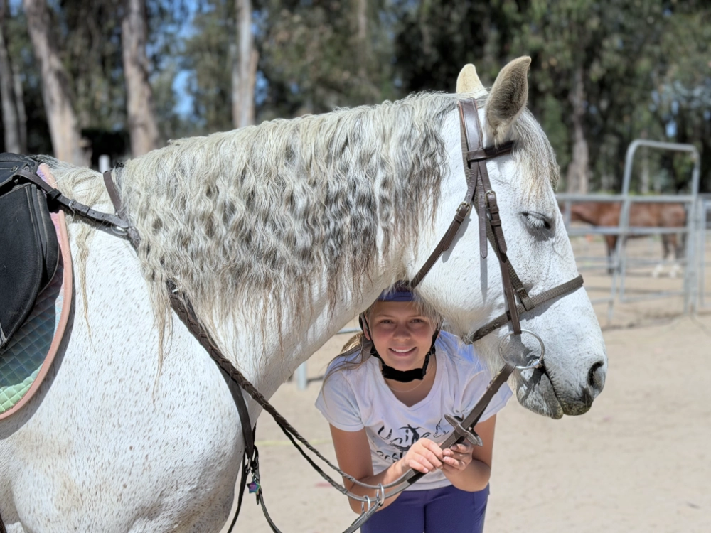 Horse Lab student working with a mustang at United Mustangs of America